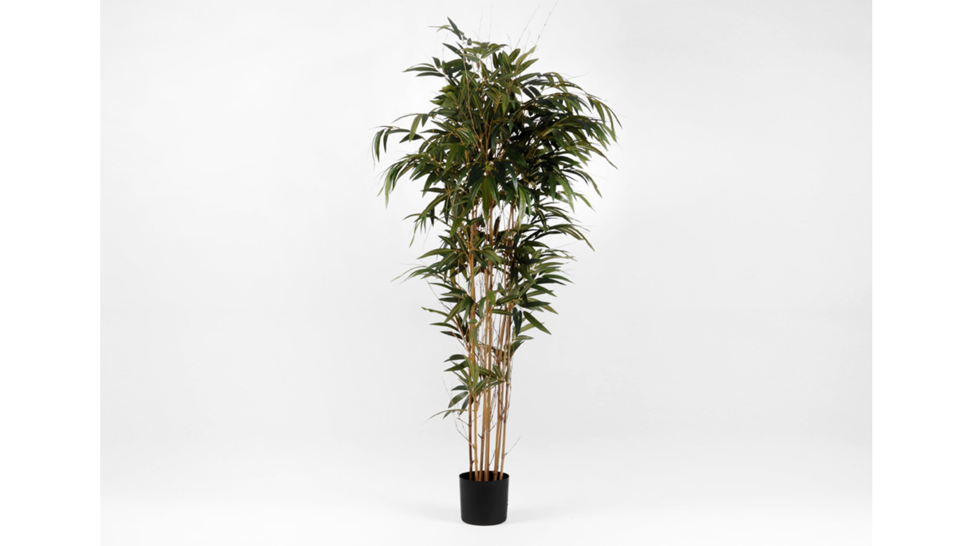 CJ Decor Bamboo